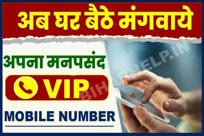 How To Get VIP Mobile Number: अब घर बैठे मंगवाये अपना मनपसंद VIP Mobile ... Pakai VIP dan Lihat History Angka Lebih Dalam
